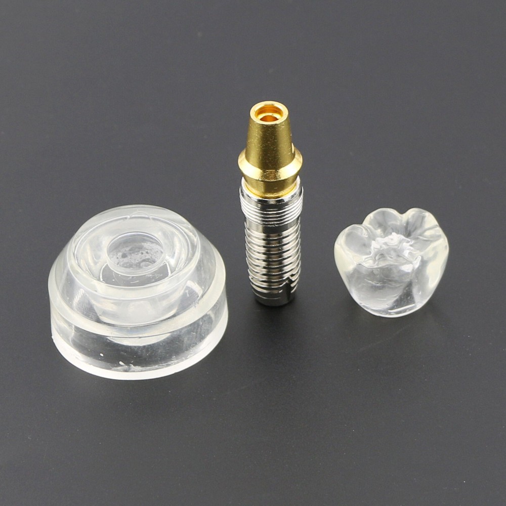 Dental Implant DemonstrationTeeth Study Teach Crown Model Acrylic Teeth Study