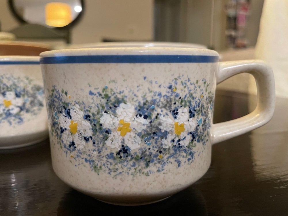 Lenox Temperware ceramic dishware in Dewdrops