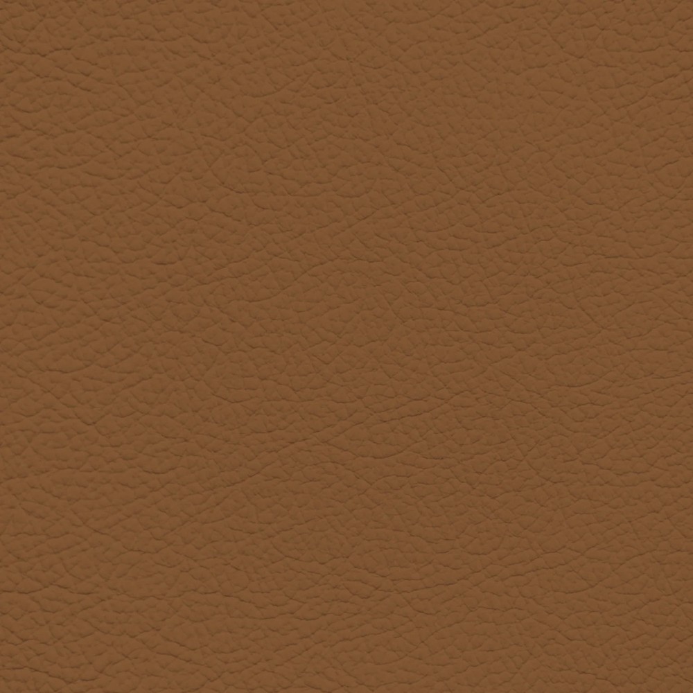 Audi Okapi Brown Leather Dye