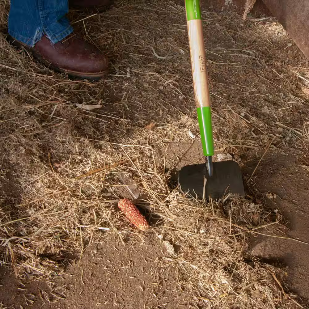 7 In. Forged Sidewalk Scraper