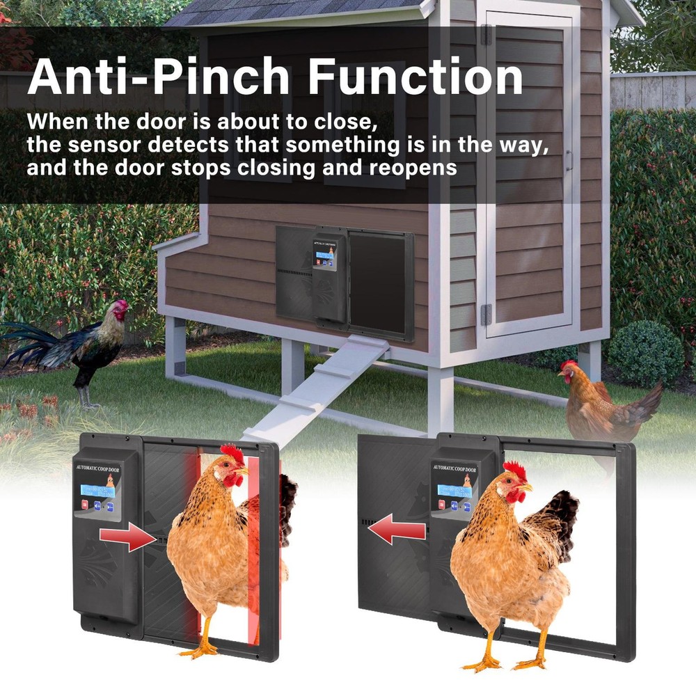 Automatic Chicken Coop Door Auto Chicken