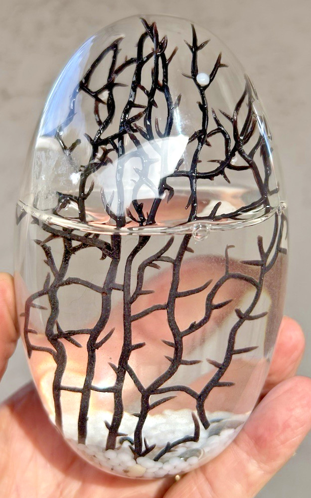5" GLASS EGG-SHAPED CLOSED SYSTEM ECOSYSTEM shrimp ECOSPHERE self-sustaining