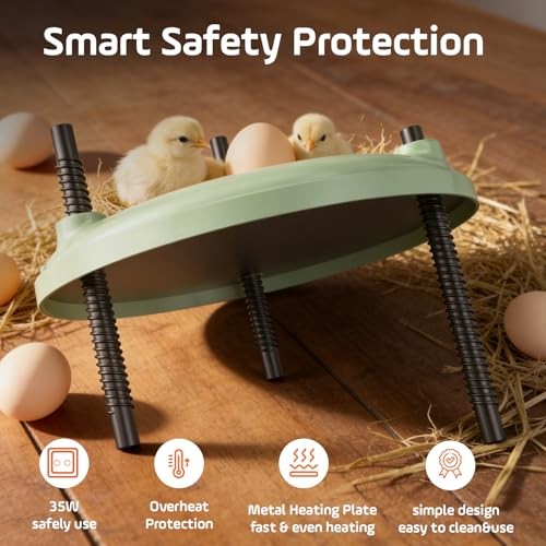 Brooder Heater for Chicks,12inch Metal Heating Plate, Adjustable Height &
