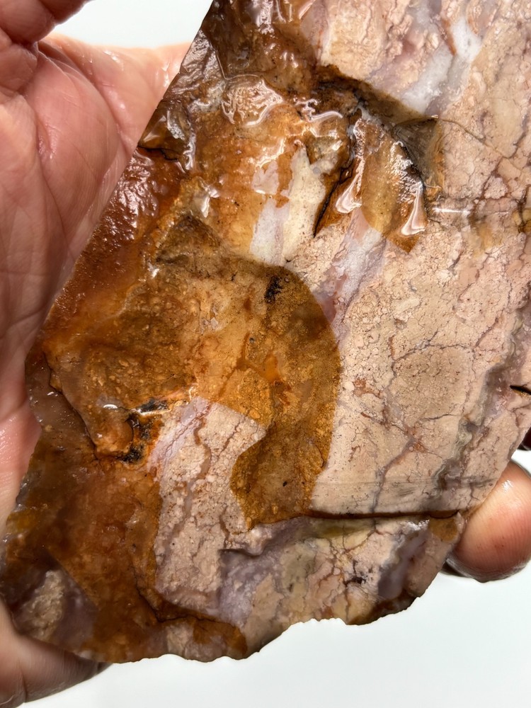 Pink Jasper/Agate Slab Cabbing Lapidary Combo Ship Avail