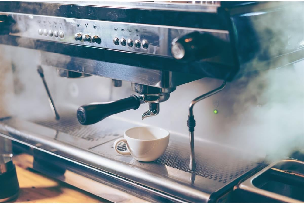 Gaggia Decalcifier Descaler Solution 250ml (2 Bottles)