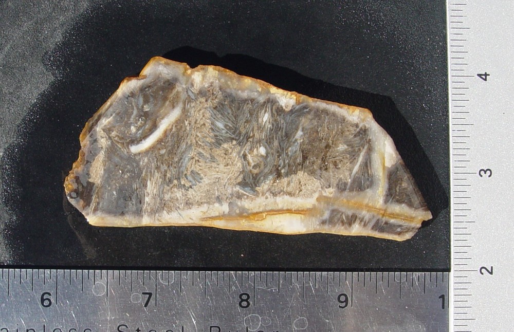Feather Agate Lapidary Slab Indonesia T1237