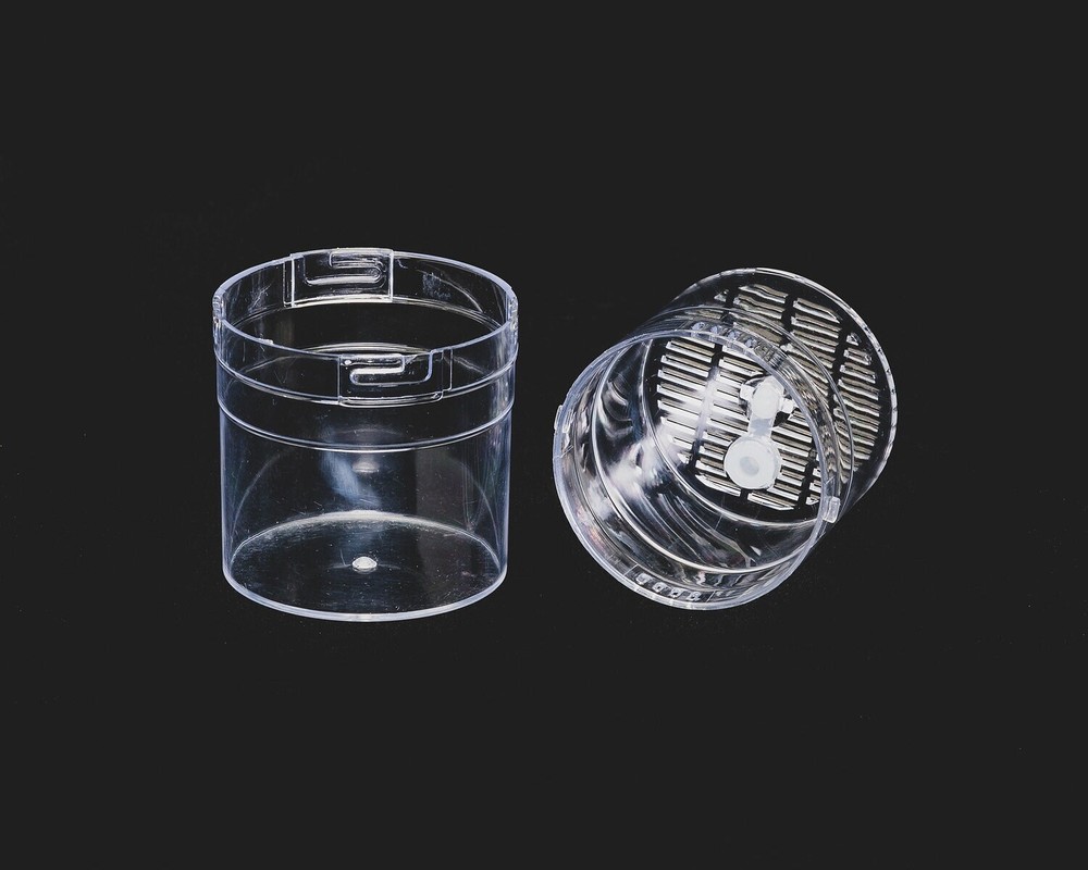 10 Pack Small Arboreal Spiderling Container