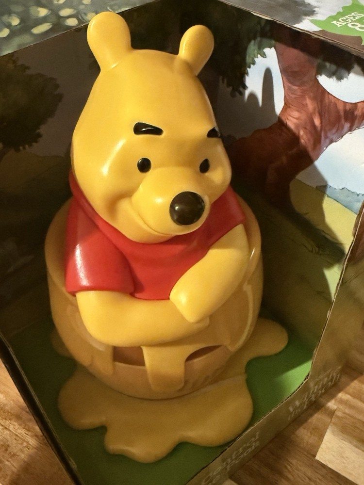 Disney Remote Control Winnie The Pooh