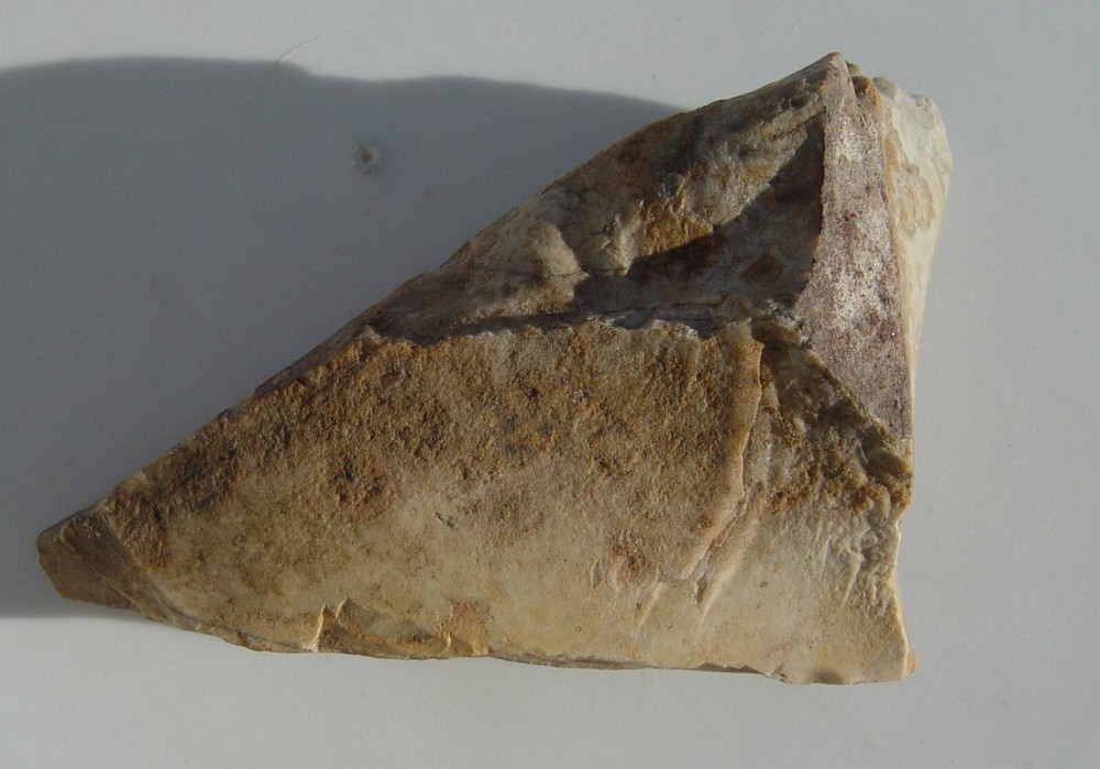 Lace Agate Small Lapidary Rough 1476