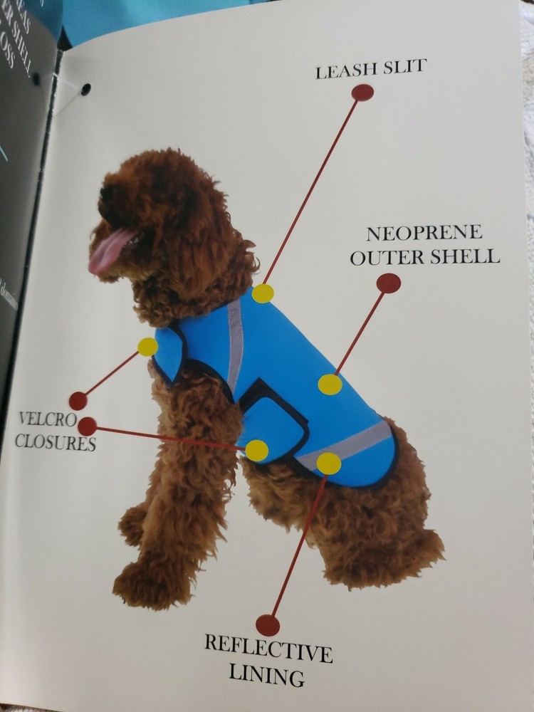 Extreme Neoprene Multi-Purpose Protective Shell Dog Coat x small