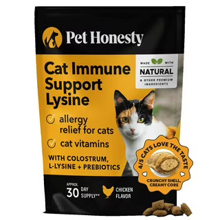 L Lysine Powder for Cats Immune Support
