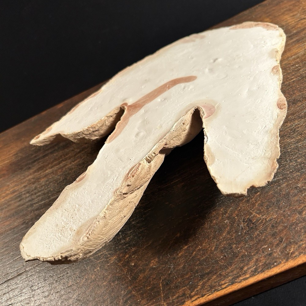 Vintage Dinosaur Footprint Plaster Cast Mold PRIORITY MAIL
