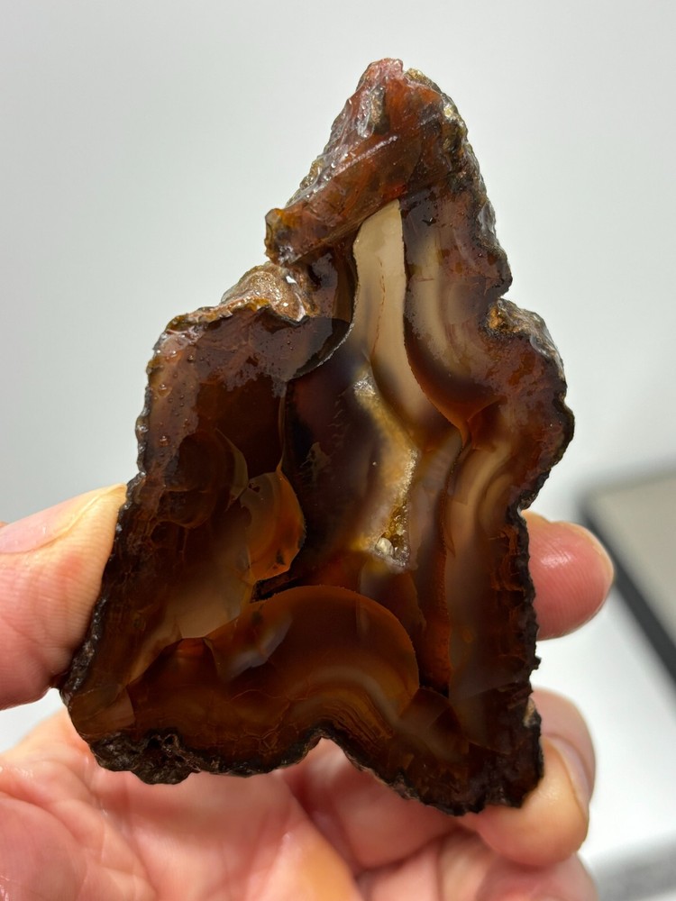 Turkish Agate slab Cabbing Lapidary Collecting Combo Ship avail