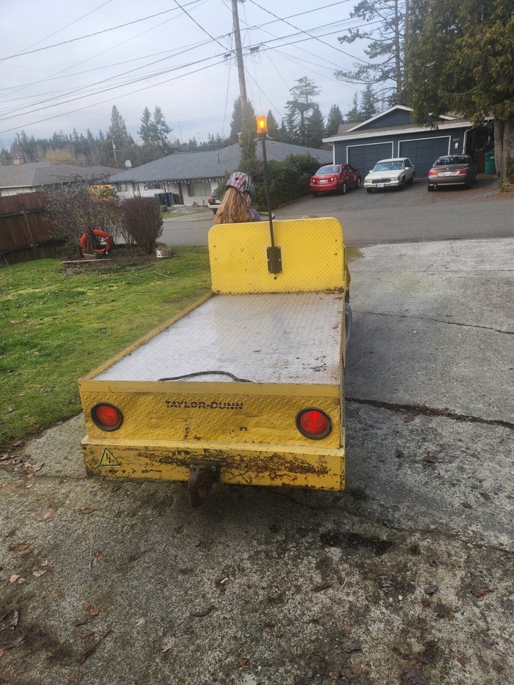 taylor dunn electric cart