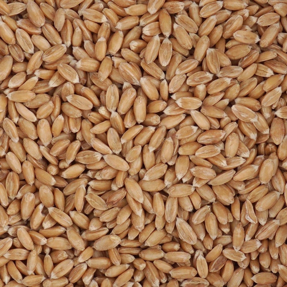 Spelt Berries, 1.5 Pound Bulk Bag, Hampton Distribution