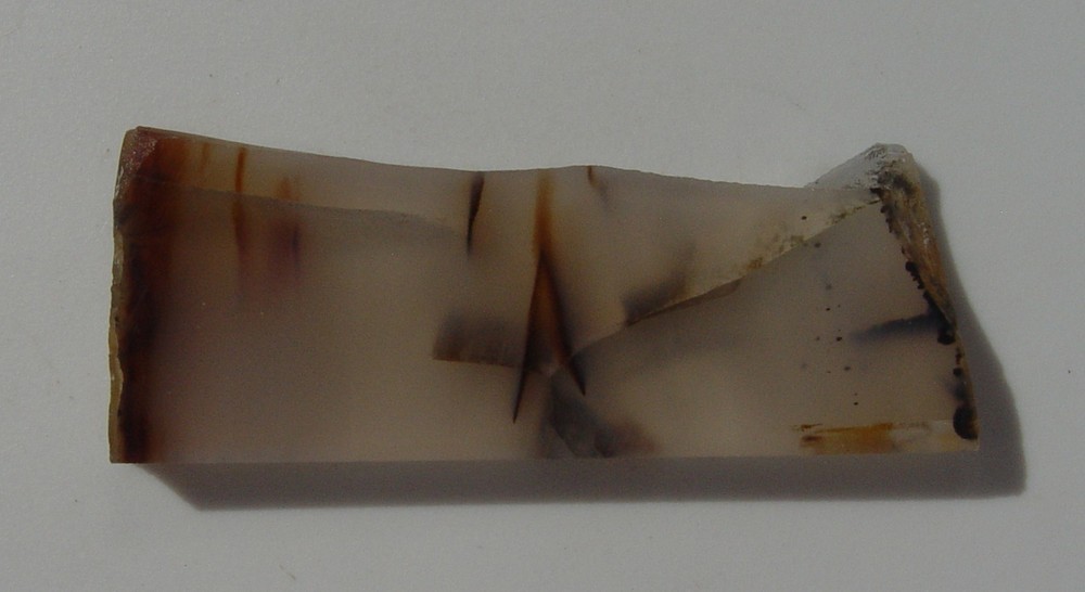 Montana Agate Lapidary Slab T1335