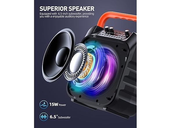 Karaoke Machine with 2 Wireless Mics Black