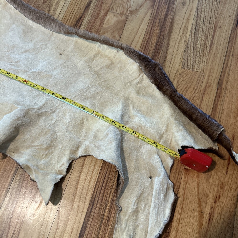 African Antelope Partial Hide (Back Half) – (Left Front) Tanned
