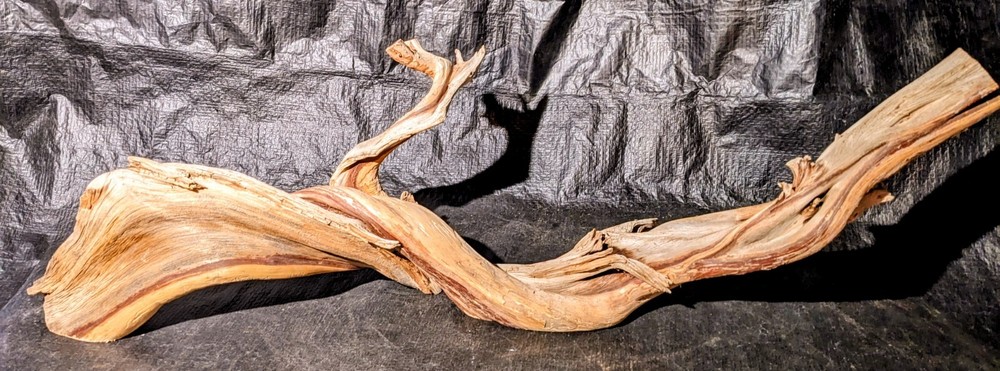 Twisted juniper Branch Aquarium Piece