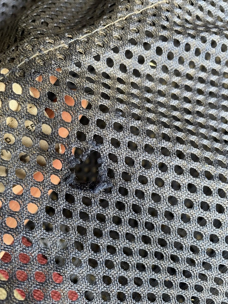 RaDon Scrim Fly Sheet