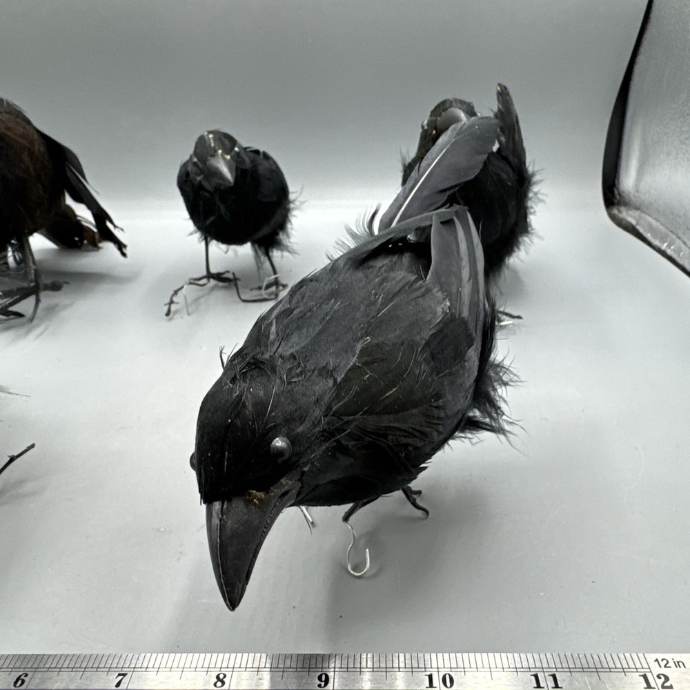 5 PCS Black Feathered Crows Halloween Ravens
