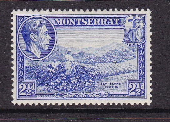 Montserrat - SG 105 - m/m - 1938/48 - 2 1/2d