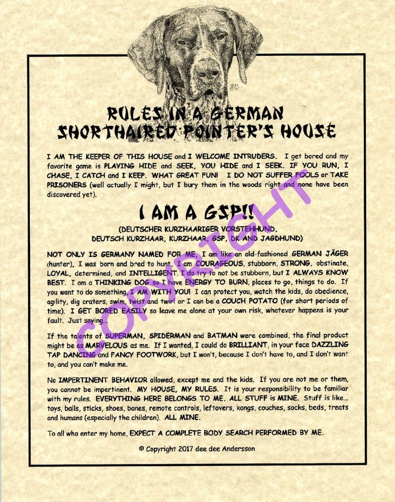 Rules In A German Shorthaired Pointer's House
