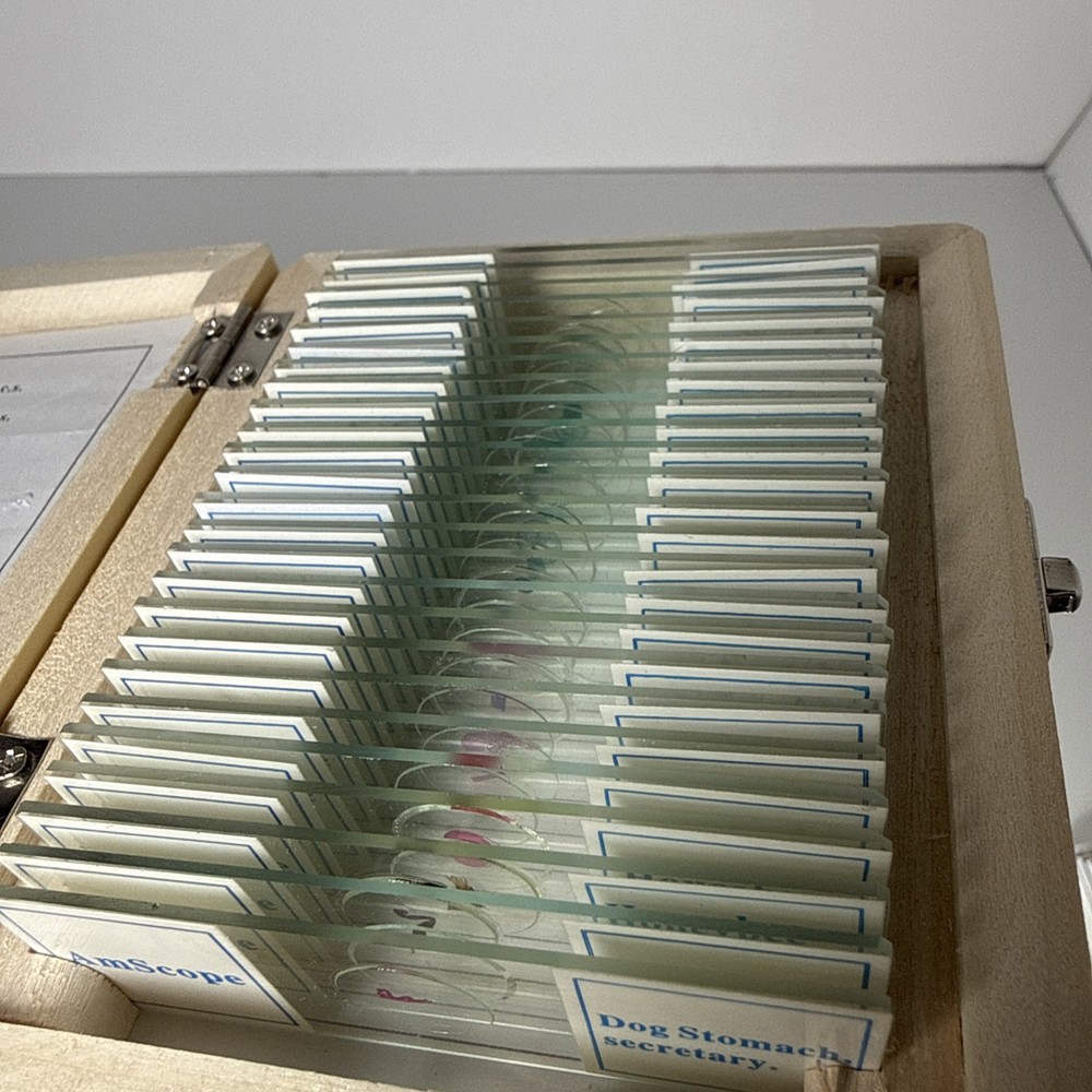 AmScope 25 Prepared Microscope Slide Set for Basic Biological Science