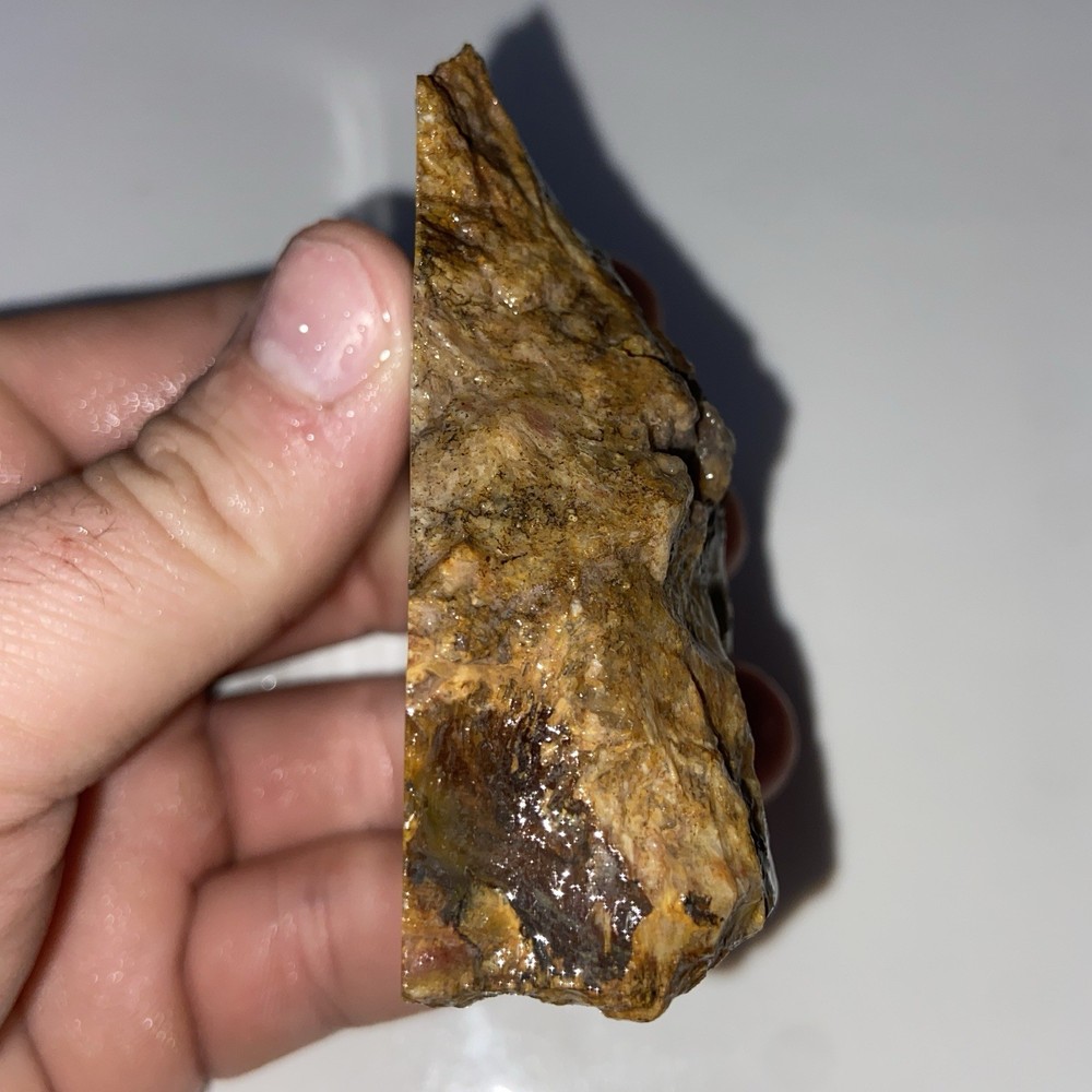 Sagenite Agate Natural Rough 6.27 Oz!