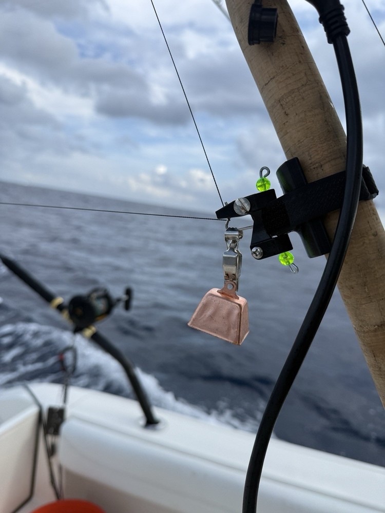 Rod Mounted Release Clip for Fishing
