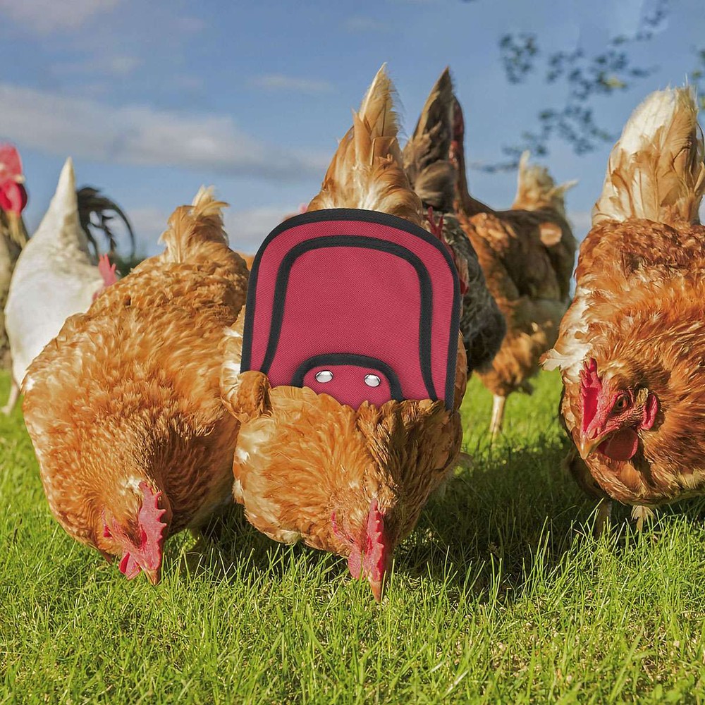 Chicken Protection Back Wing Protector Hen Chicken Saddle Back Apron Jacket Coat