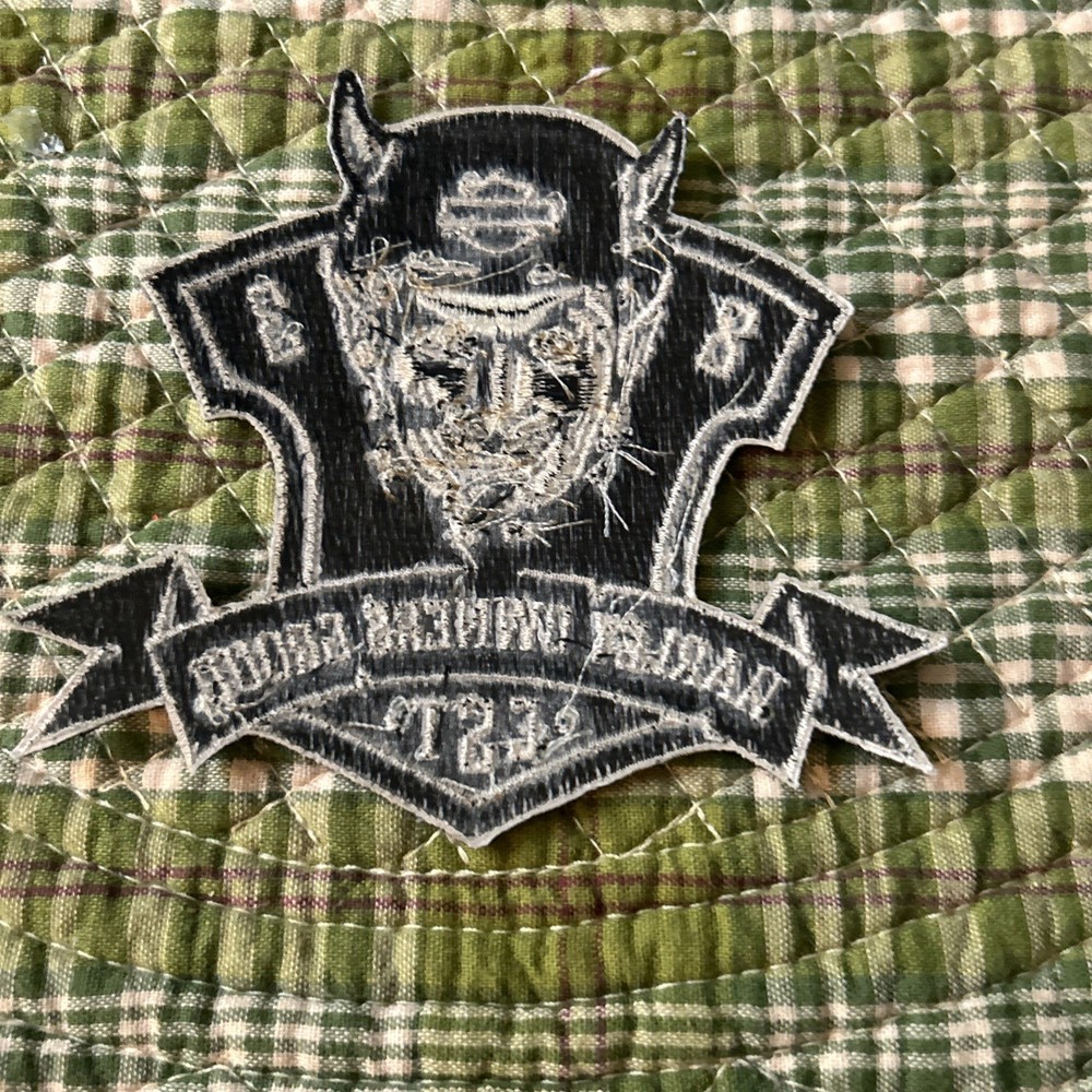 Rebel Logo Patch Harley Davidson Owners Group H.O.G. Devil 83