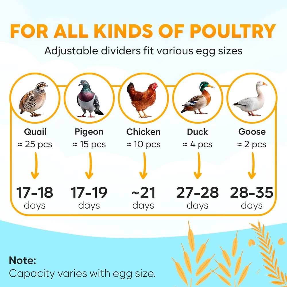 18 Egg Incubator with Automatic Egg Turning and Humidity Control – Egg Incuba...