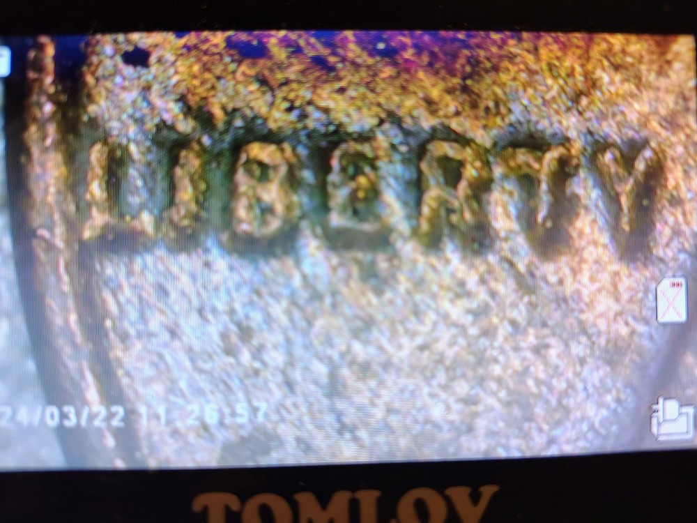 1948 D Wheat Sent Obverse And Reverse Debris Strike Error