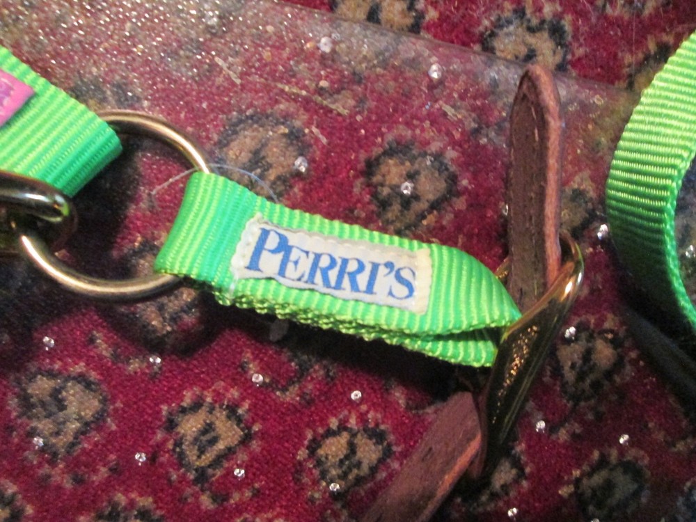 Perri's Halter and Lead Rope NWOT