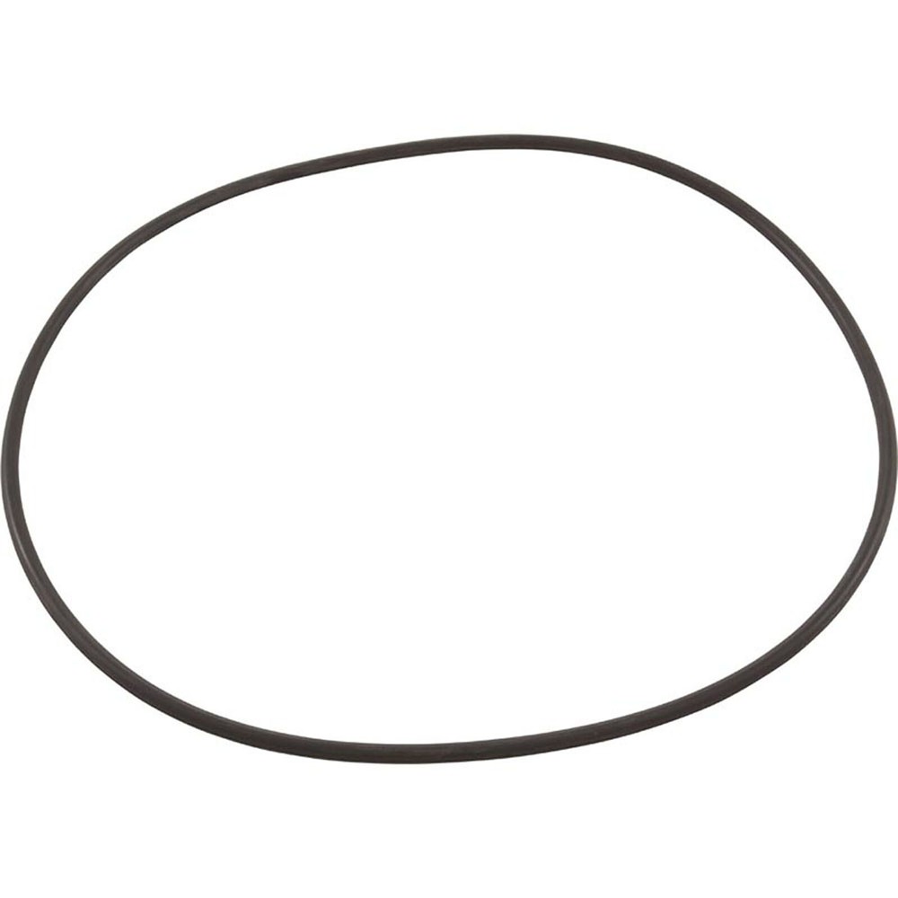 O-Ring U9-169 by Pentair