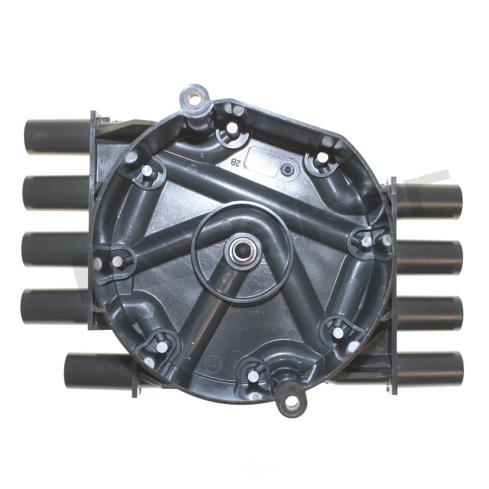Dist Cap Walker Products 925-1013