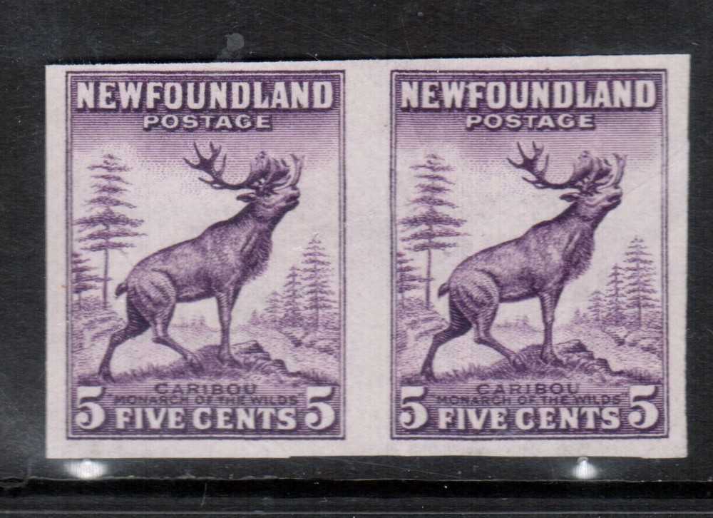 Newfoundland #191d Very Fine Mint Imperf Pair Unused (No Gum)
