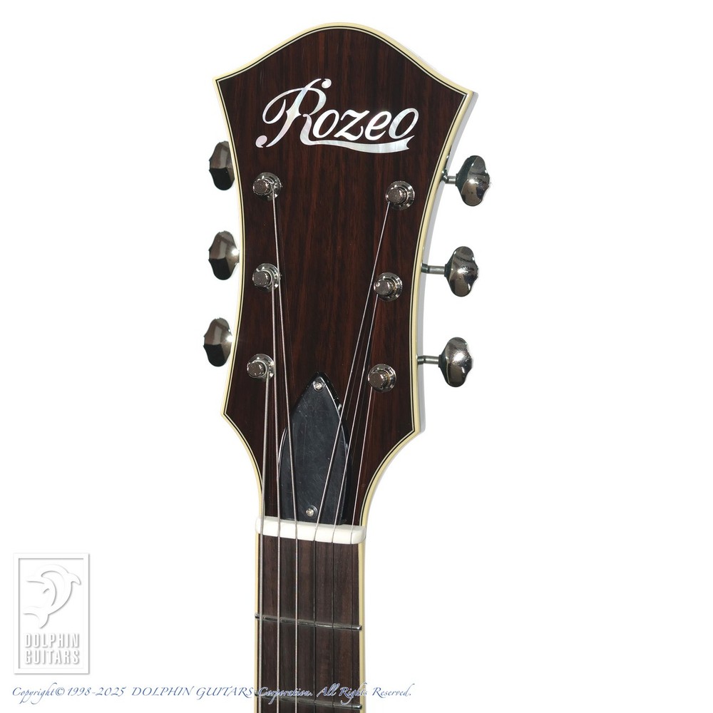 Rozeo Ladybug-CB CM HB Blue Burst