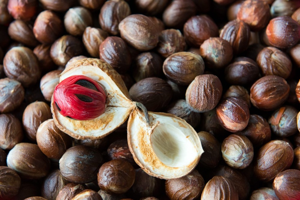 4 oz Candle Scent Oil-NUTMEG