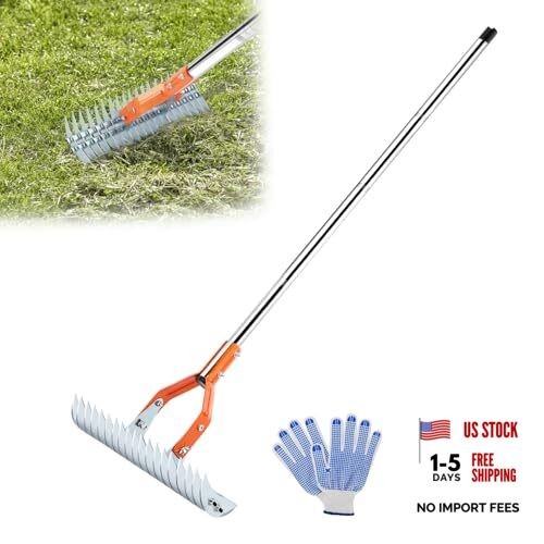 Thatch Rake, 15 Inch Lawn Thatching Rake, Heavy-Duty Dethatcher Rake with