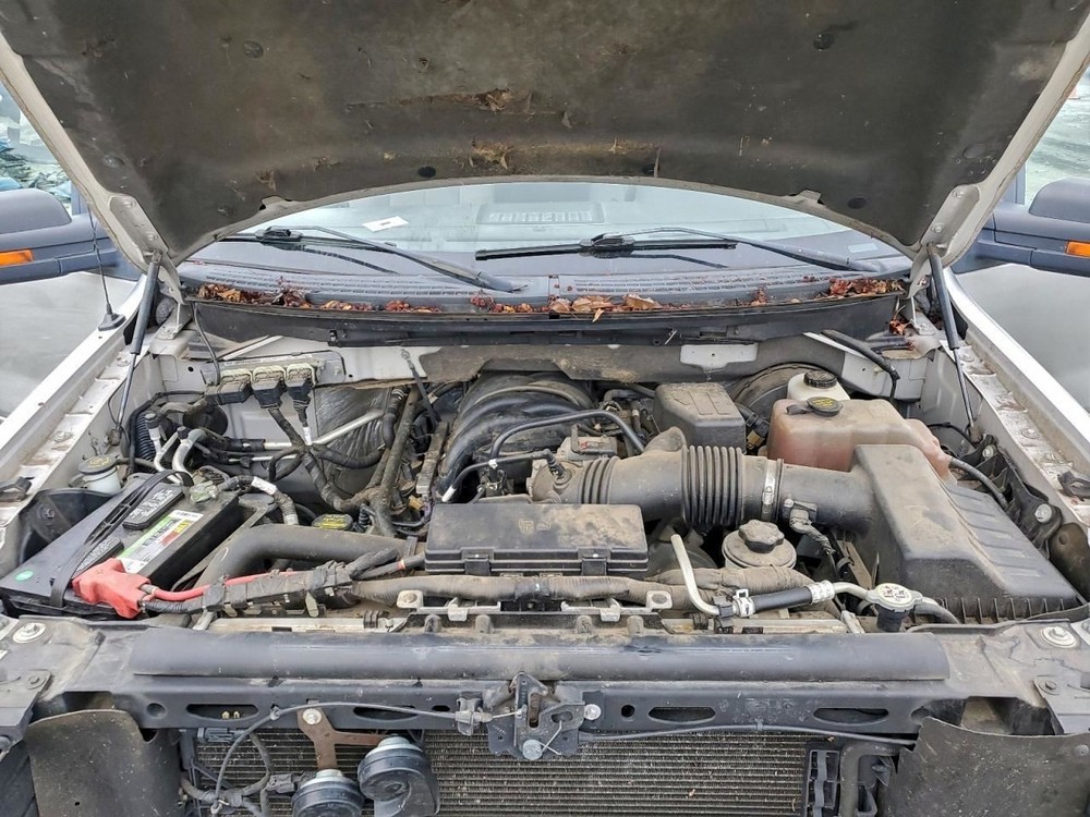 F150 2010 Glove Box 4982721