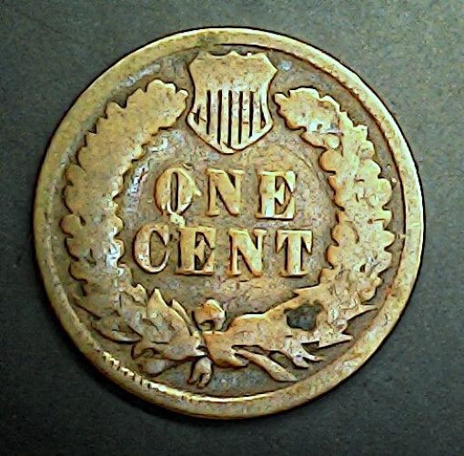 1895 Indian Head Cent Penny 20