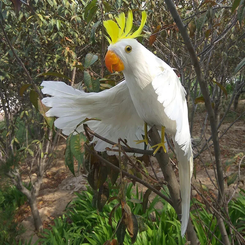 white "hello" wings parrot foam&feather simulation cockatoo model about 45cm