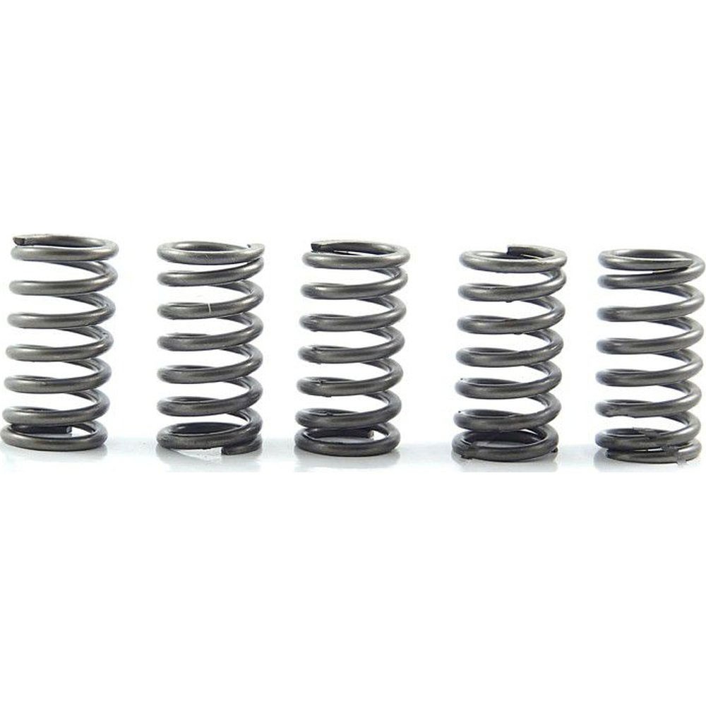 EBC CSK Clutch Spring Kit - CSK118