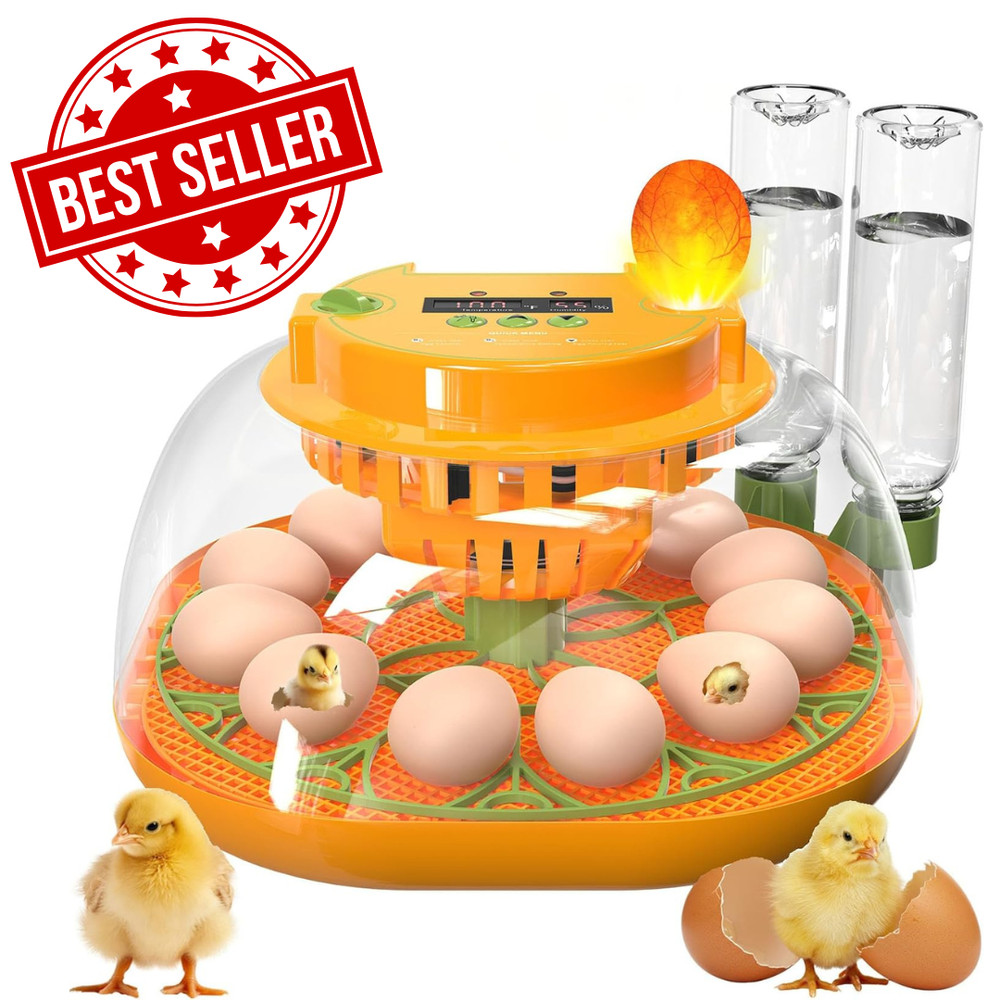 12 Egg Incubator with Automatic Egg Turning and Humidity Control
