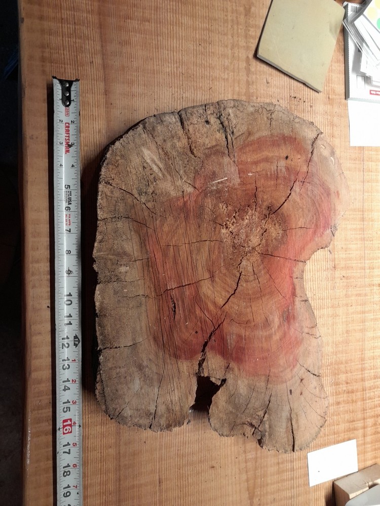 2 1/4 Inch Thick Carob Slab