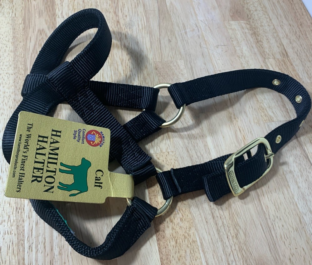 Black Hamilton 1” Turnout Calf Halter
