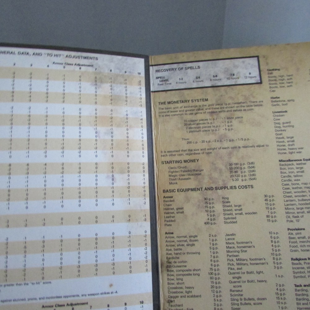 VINTAGE 1985 Advanced Dungeons & Dragons Player's Reference Screen (see listing)
