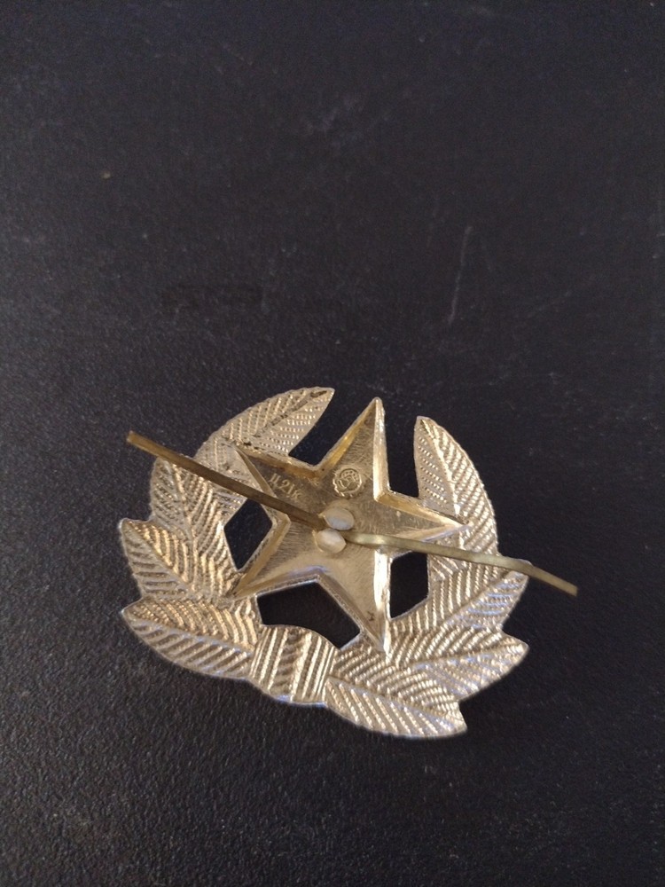 Soviet USSR Russian Pin Badge